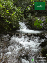 Load image into Gallery viewer, siembra de arboles