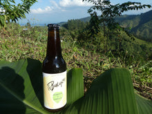 Load image into Gallery viewer, Cerveza de cebada 330ml