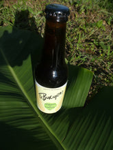 Load image into Gallery viewer, Cerveza de cebada 330ml