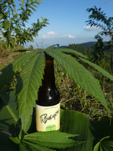 Load image into Gallery viewer, Cerveza de cebada especial