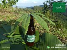 Load image into Gallery viewer, Cerveza de cebada especial