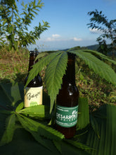 Load image into Gallery viewer, Cerveza de cebada especial