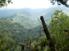 Load image into Gallery viewer, sitios turisticos del valle