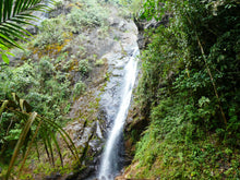 Load image into Gallery viewer, colombia cali