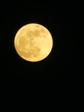 Load image into Gallery viewer, carbon offset