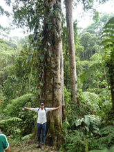 Load image into Gallery viewer, sitios turisticos del valle