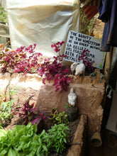 Load image into Gallery viewer, san cipriano cali