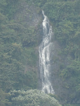 Load image into Gallery viewer, colombia cali