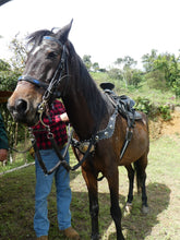 Load image into Gallery viewer, el pais cali colombia