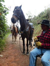 Load image into Gallery viewer, carbon offset