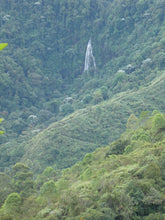 Load image into Gallery viewer, el pais cali colombia