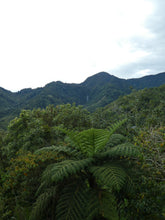 Load image into Gallery viewer, sitios turisticos del valle