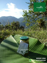 Load image into Gallery viewer, Pasta De Berros Watercress Paste 250ml