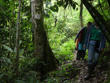 Load image into Gallery viewer, Ecotour a la cascada con almuerzo y experiencia ecológica