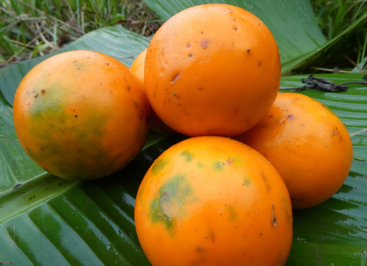 beneficios de la fruta lulo