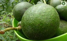 Load image into Gallery viewer, Aguacate - Avocado | 1kg | 100% orgánico