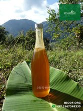 Load image into Gallery viewer, Miel (orgánica) - Honey (organic) 750ml