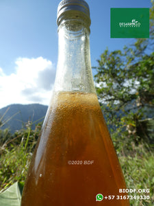 Miel (orgánica) - Honey (organic) 750ml
