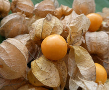 Load image into Gallery viewer, Uchuva - Gooseberry (orgánica) / 100g