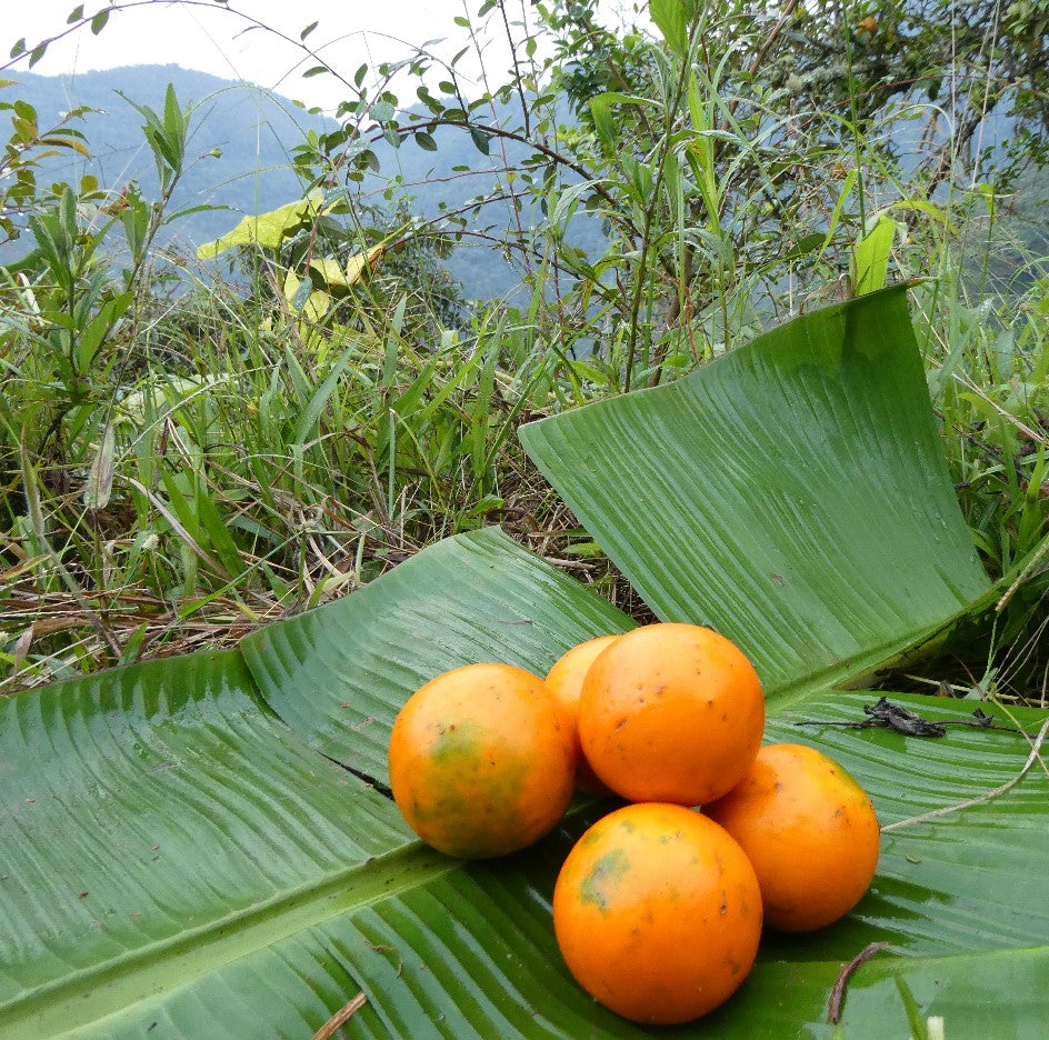 beneficios de la fruta lulo